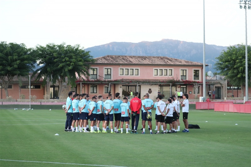 Entrenamiento previo