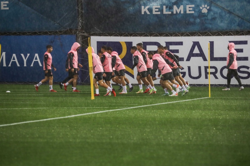 Vuelta a la actividad