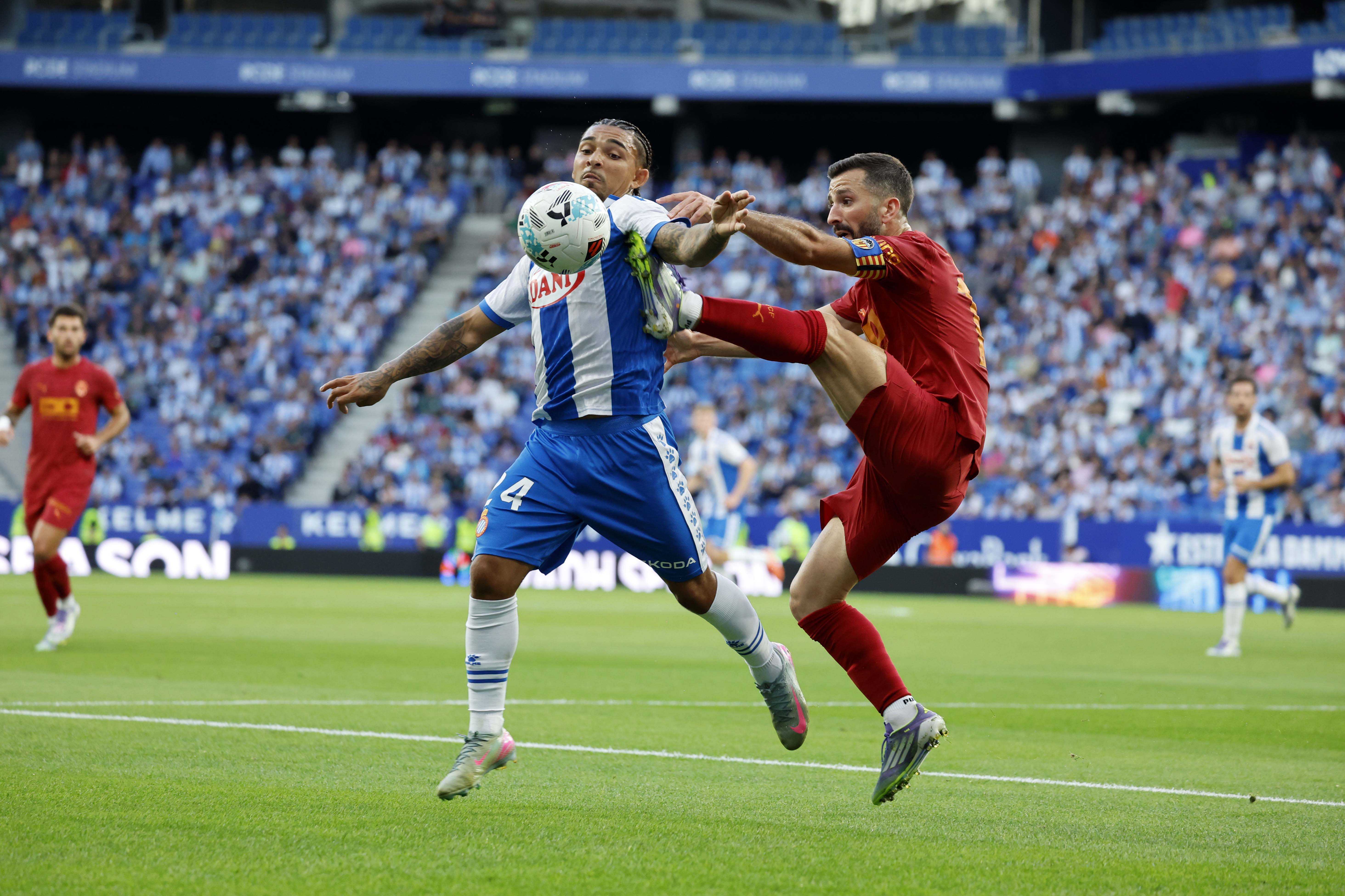 Entrevista Flash: Dolan