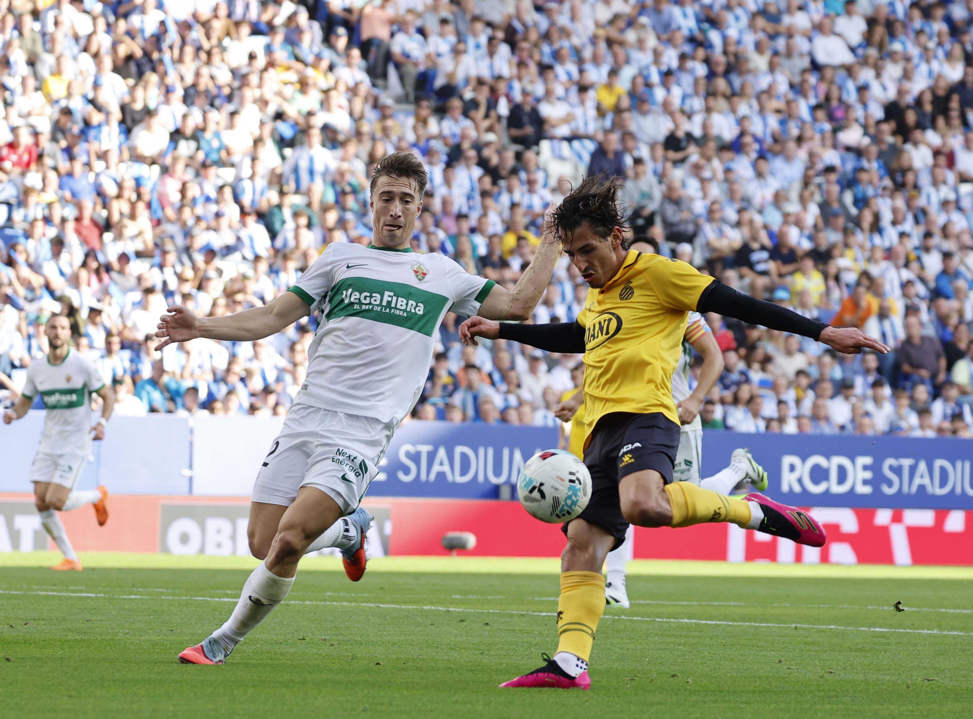 Entrevista Flash: Pere Milla