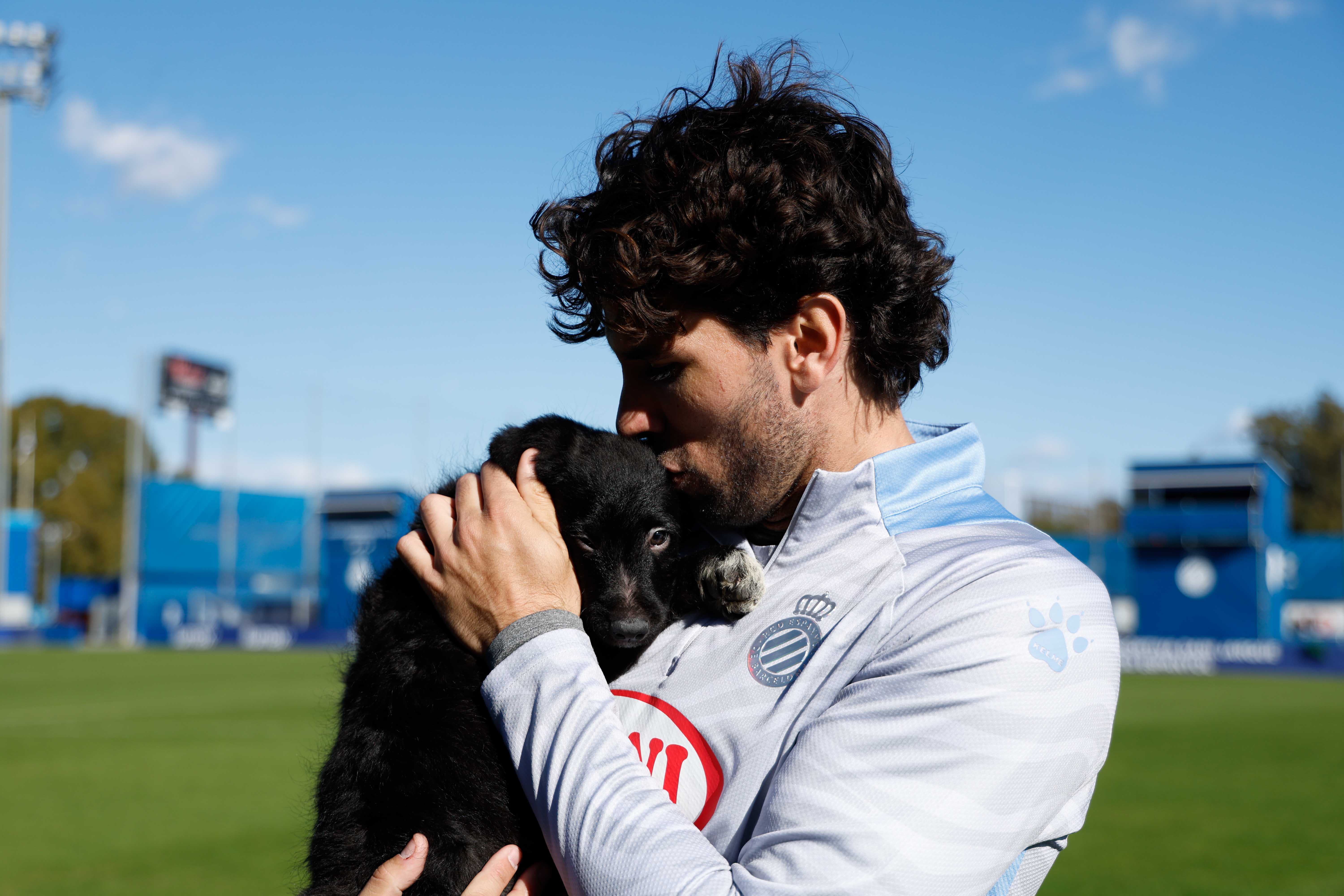 “Els Pericos No Abandonen”: doce historias, doce adopciones, un final feliz