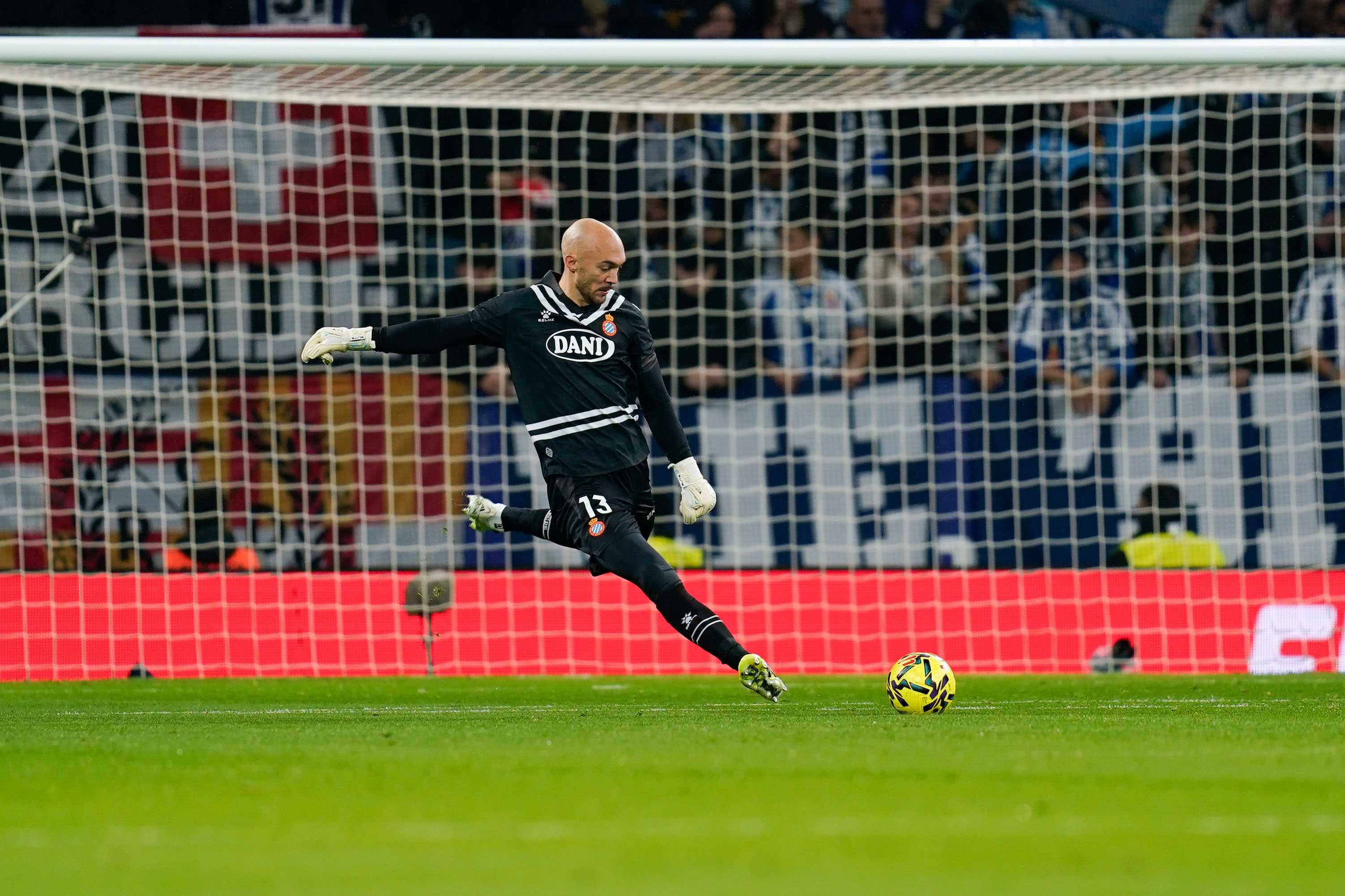 FLASH | Marko Dimitrovic