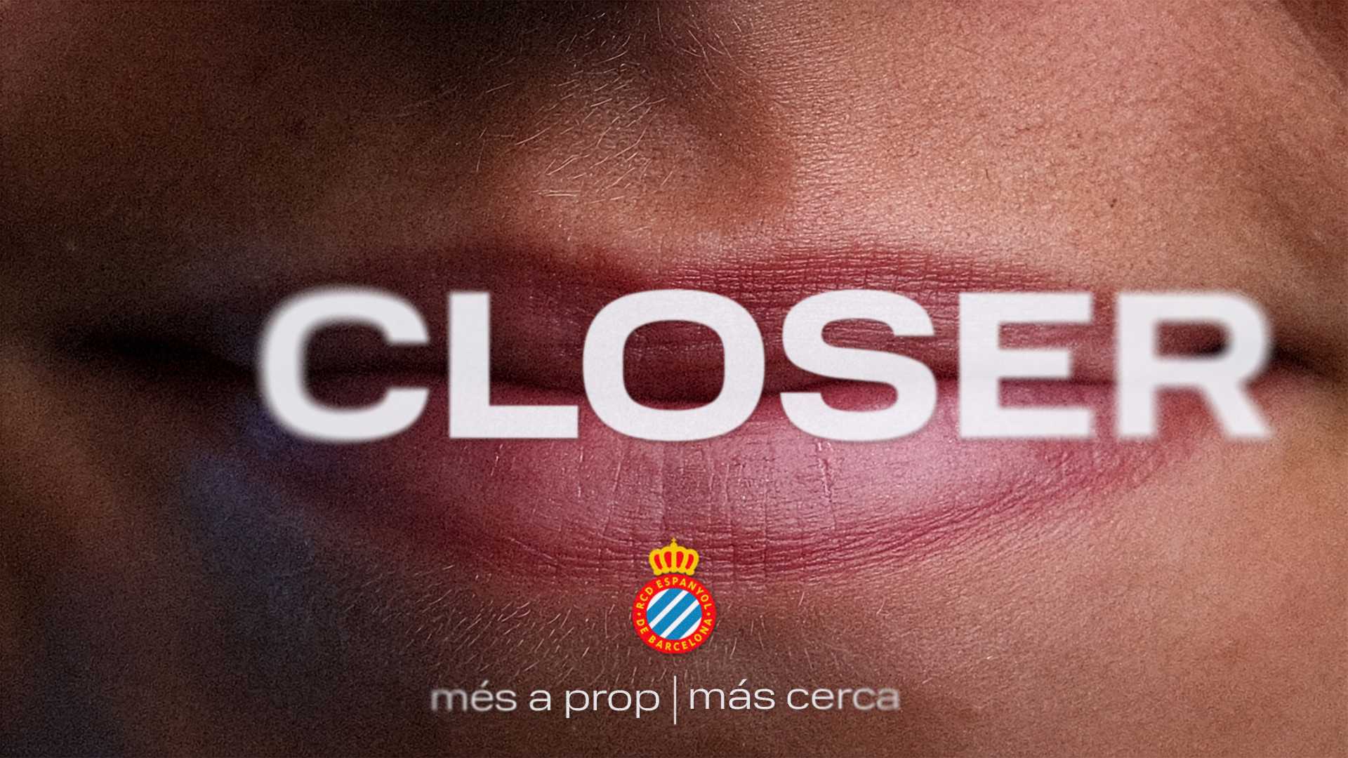 El Vínculo. Compañeros de vida