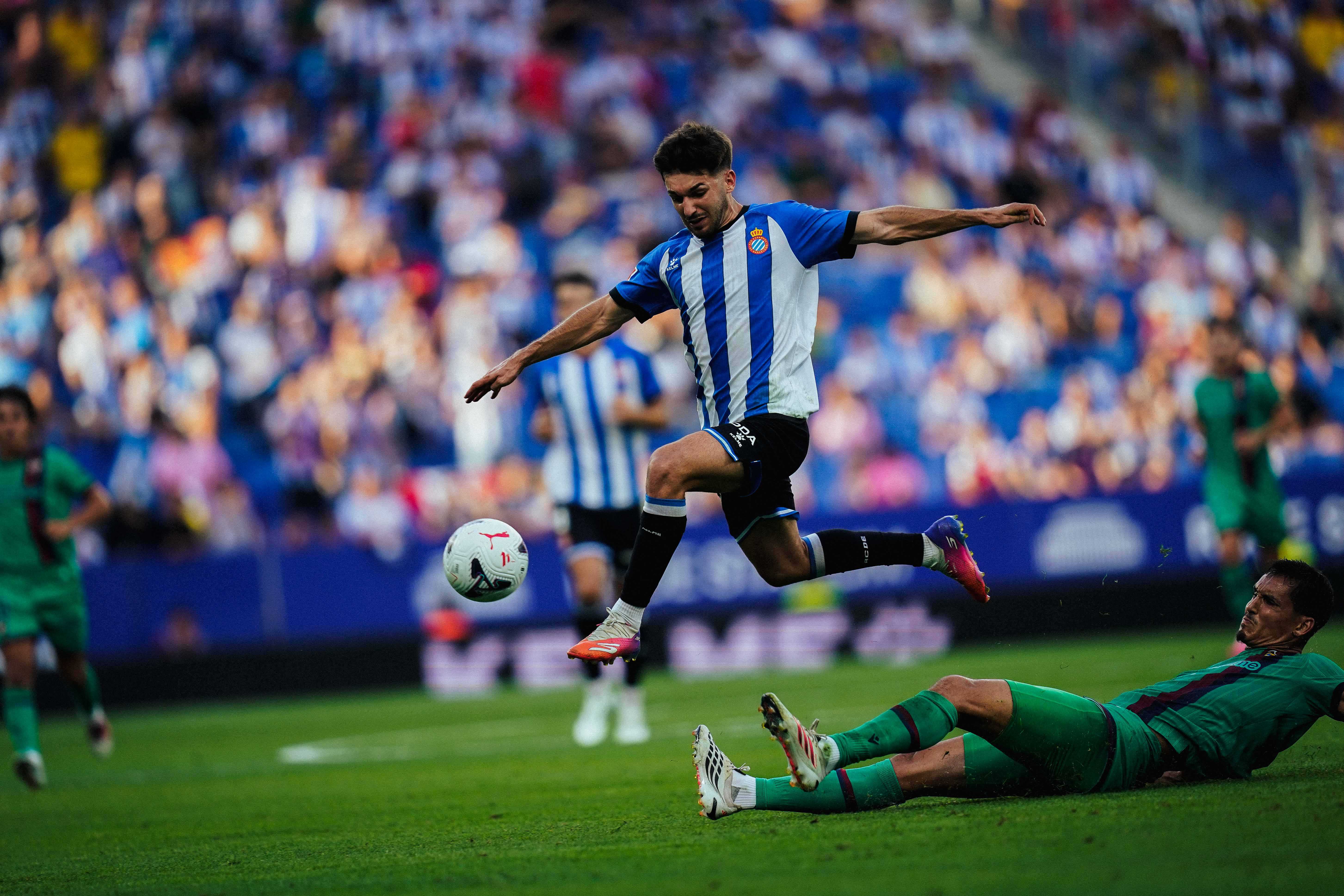Flash: Javi Hernández