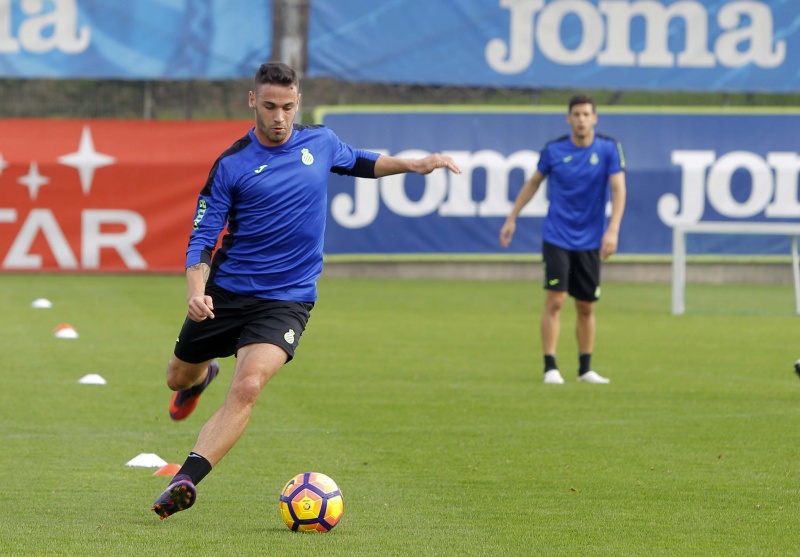 Seis pericos, con la catalana