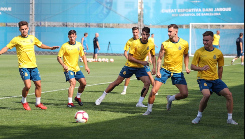 Entrenamiento previo