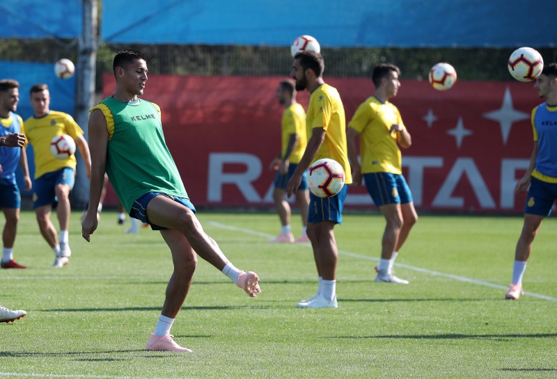 Entrenamiento previo