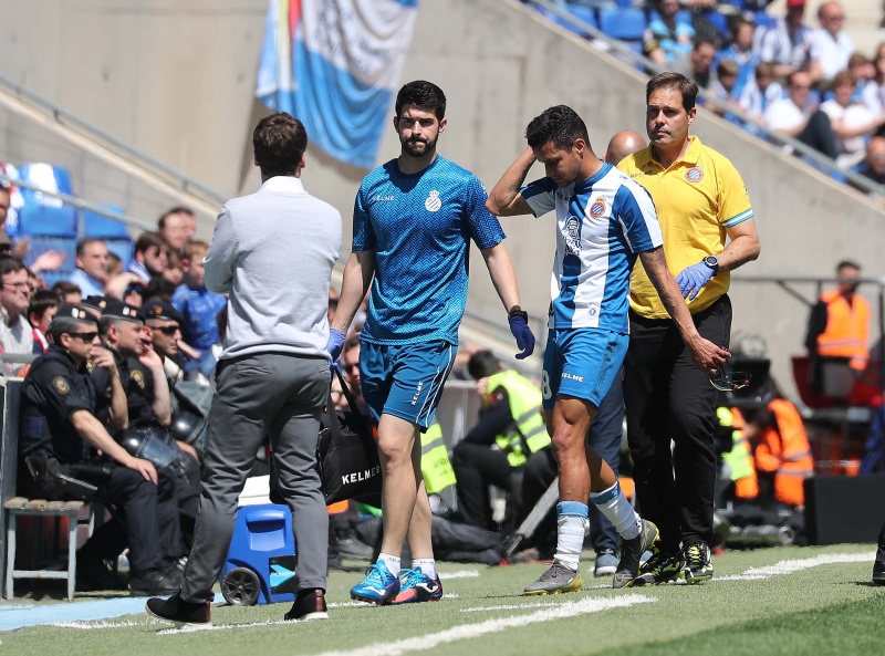 Pendientes de Rosales